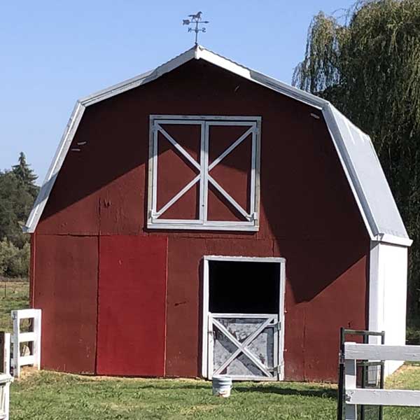 photo of red barn before being repainted